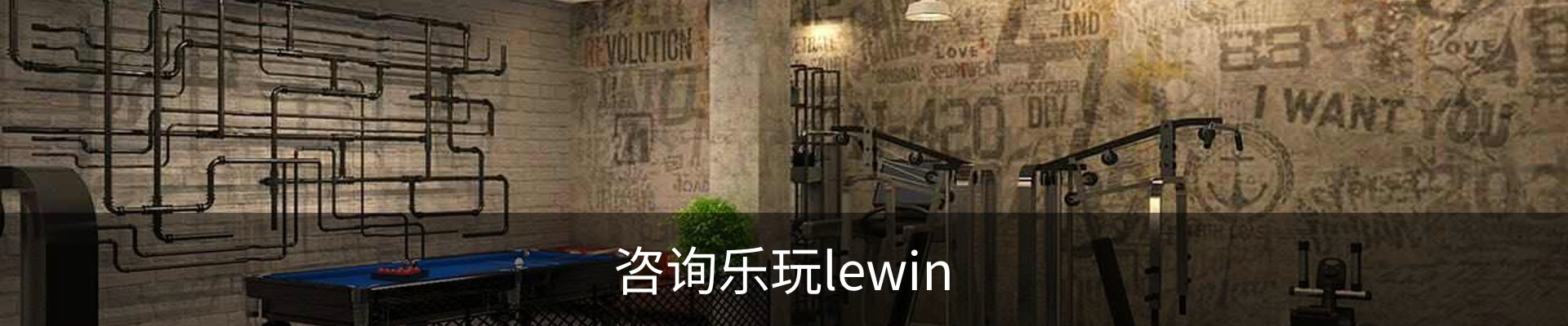 咨询乐玩lewin