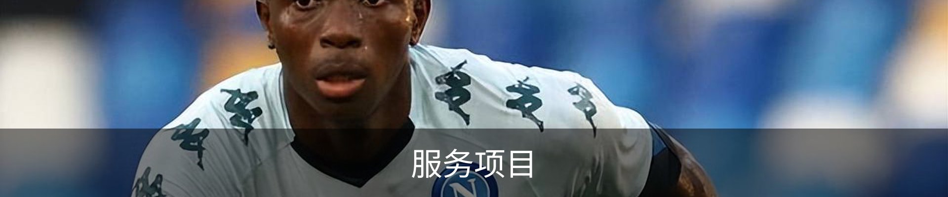 服务项目